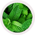 Ingradiant image